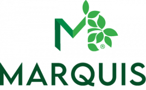 Marquis Health